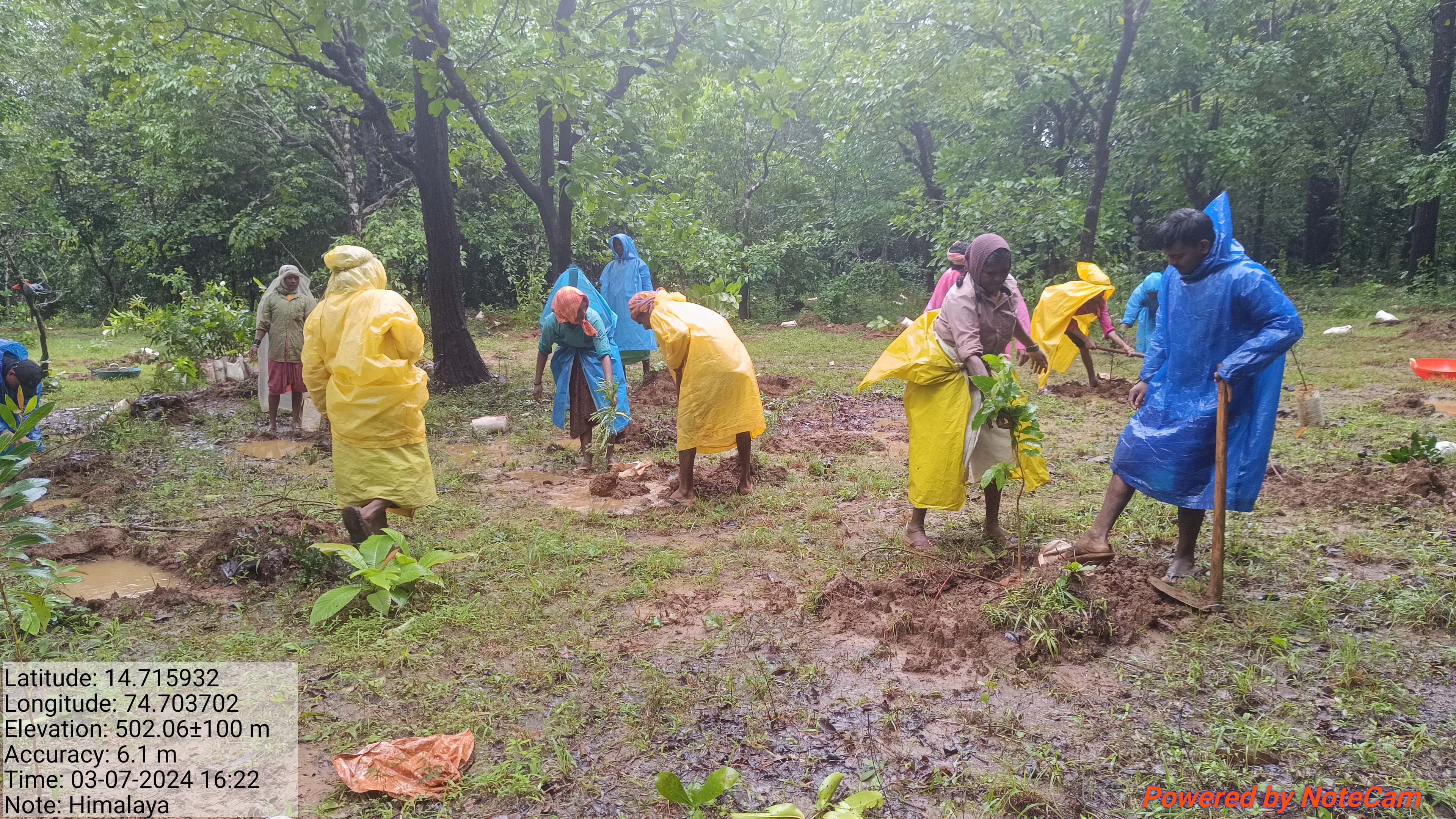 Green Livelihoods and Local Economy