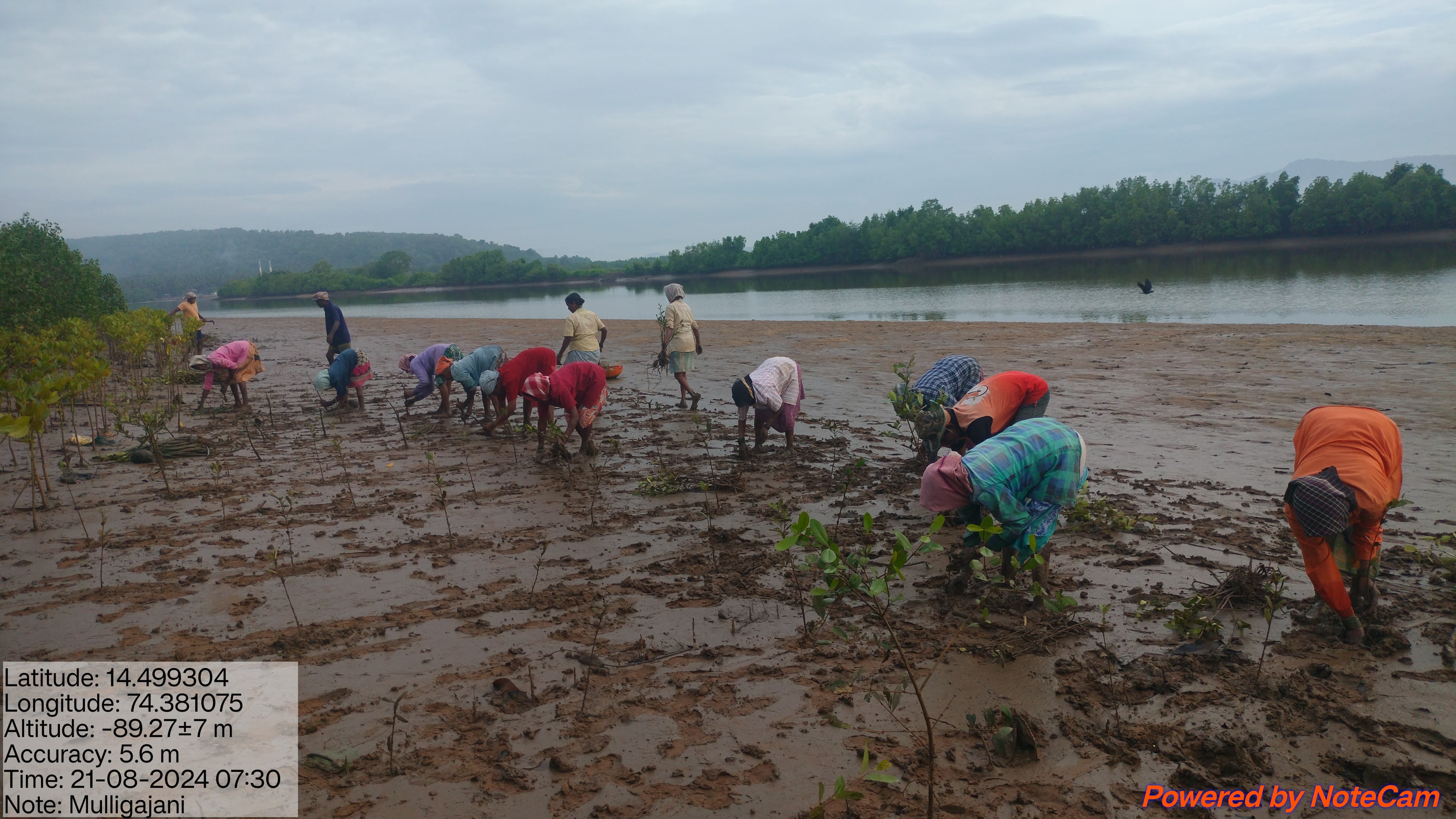 Women SHGs and Entrepreneurship