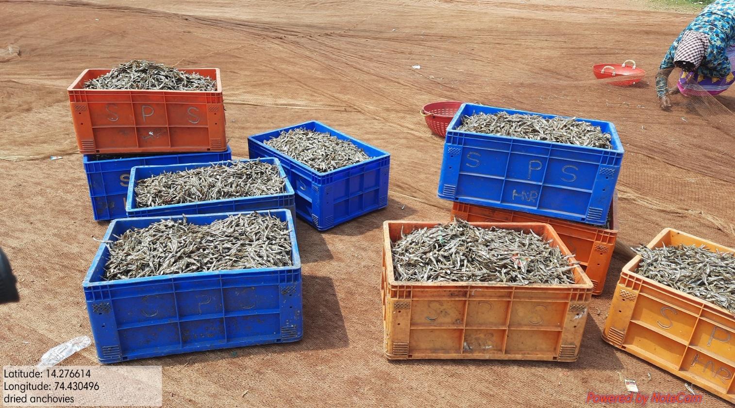 Dried Fish Matters, Kerala