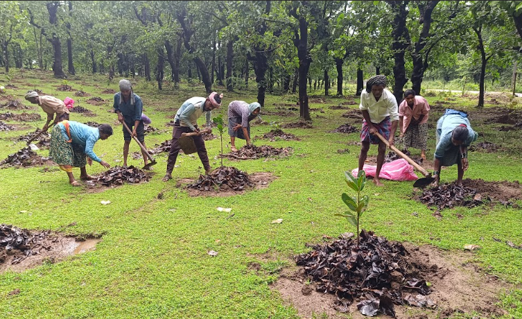 Biodiversity Conservation and Tree Plantation