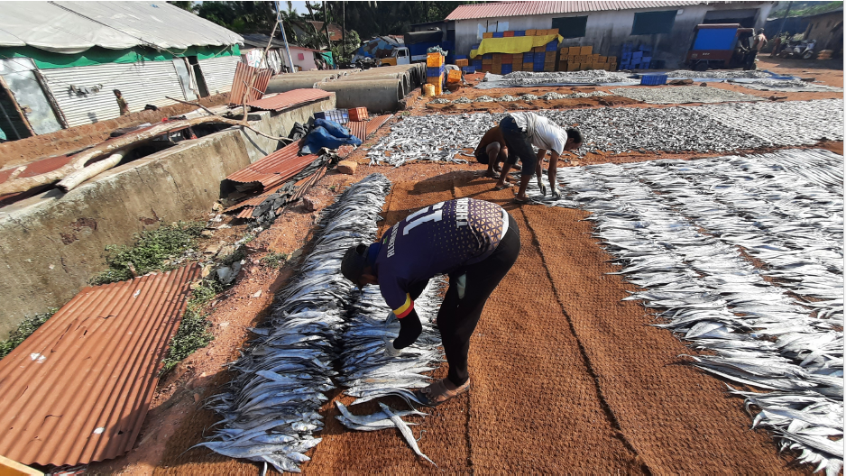 Drivers and Barriers of Dried Fish Consumption in Karnataka