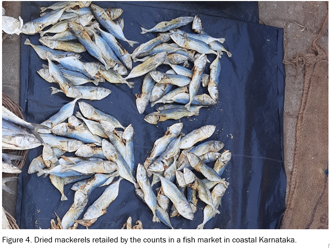 Drivers and Barriers of Dried Fish Consumption in Karnataka
